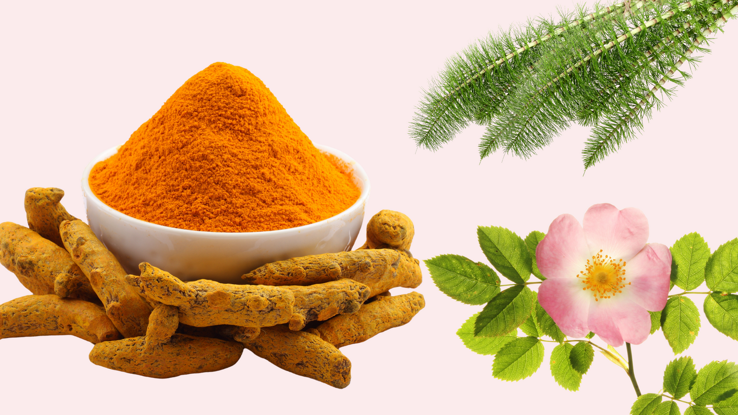 Curcuma, Equiseto e Rosa Canina per la Pelle: Alleati Naturali per un Viso Raggiante