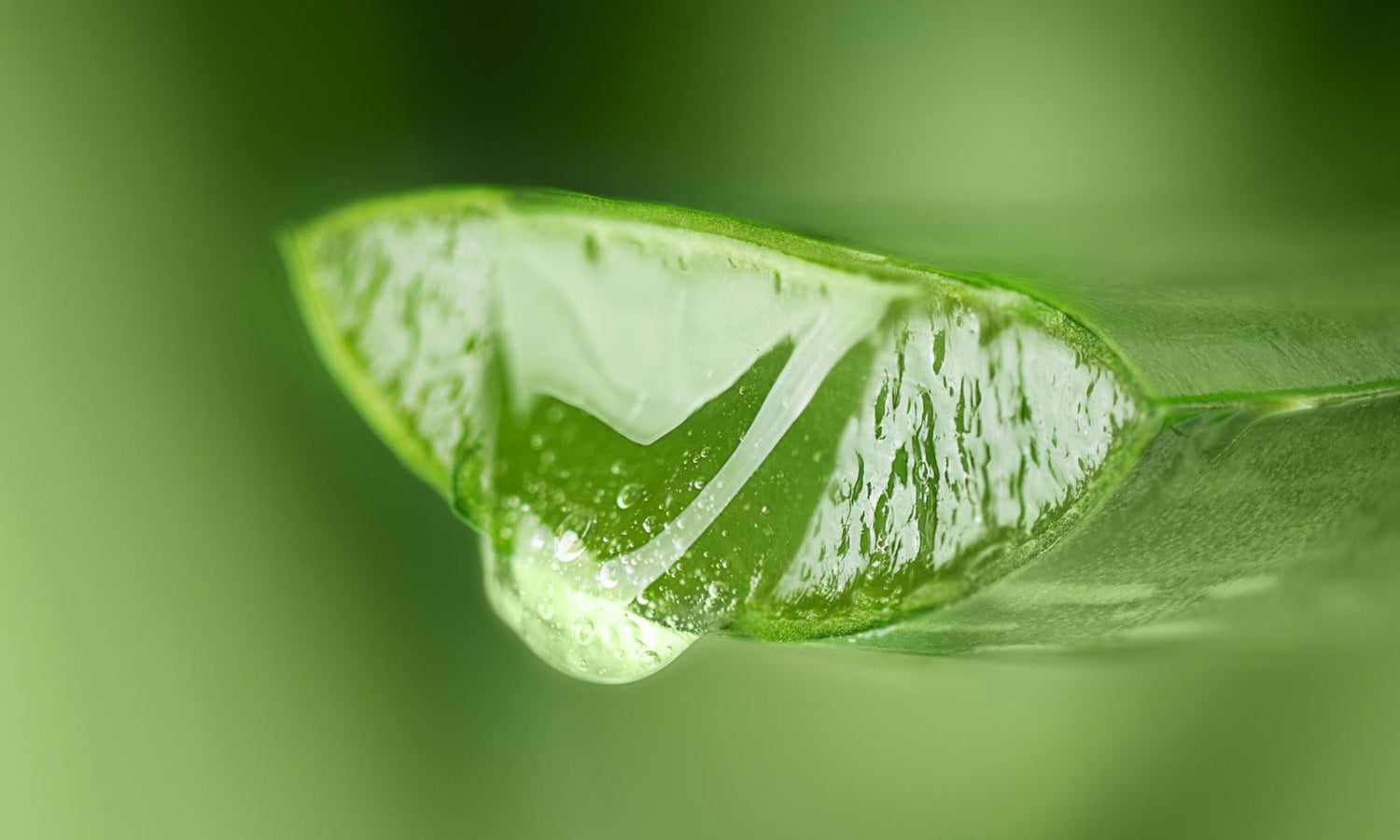 Perché non dovresti applicare il gel di Aloe Vera diretto sulla pelle: Rischi e Alternative